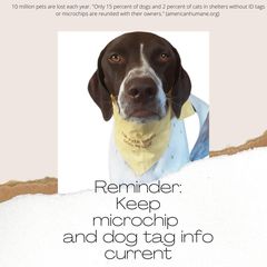 Microchip Your Pet and Keep the Information Up-to-Date