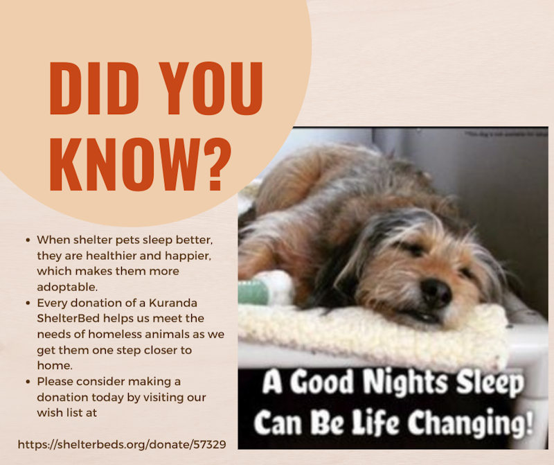 Donate a Kuranda Bed to Valley River Humane Society