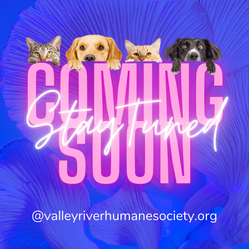 Valley River Humane Society is delighted to announce that exciting new events are being planned for this year.