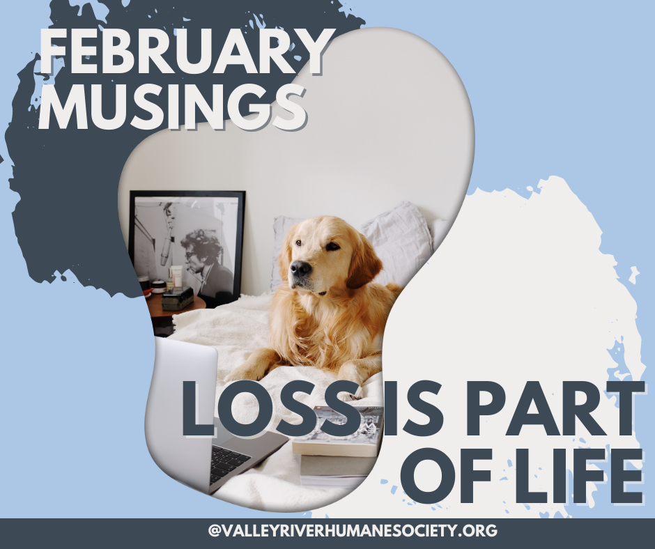 Loss is part of life - VRHS