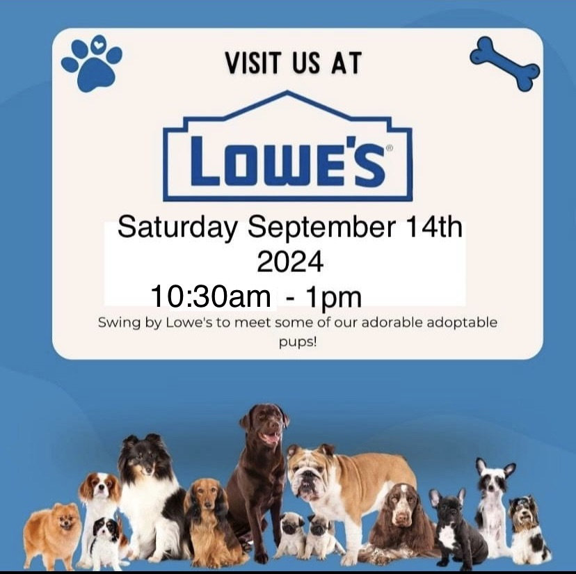 VRHS Adoption Event at Lowes on Saturday Set. 14, 2024